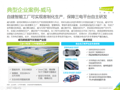 2025年新能源市場展望 威馬等企業潛力無限，技術咨詢服務助力行業騰飛